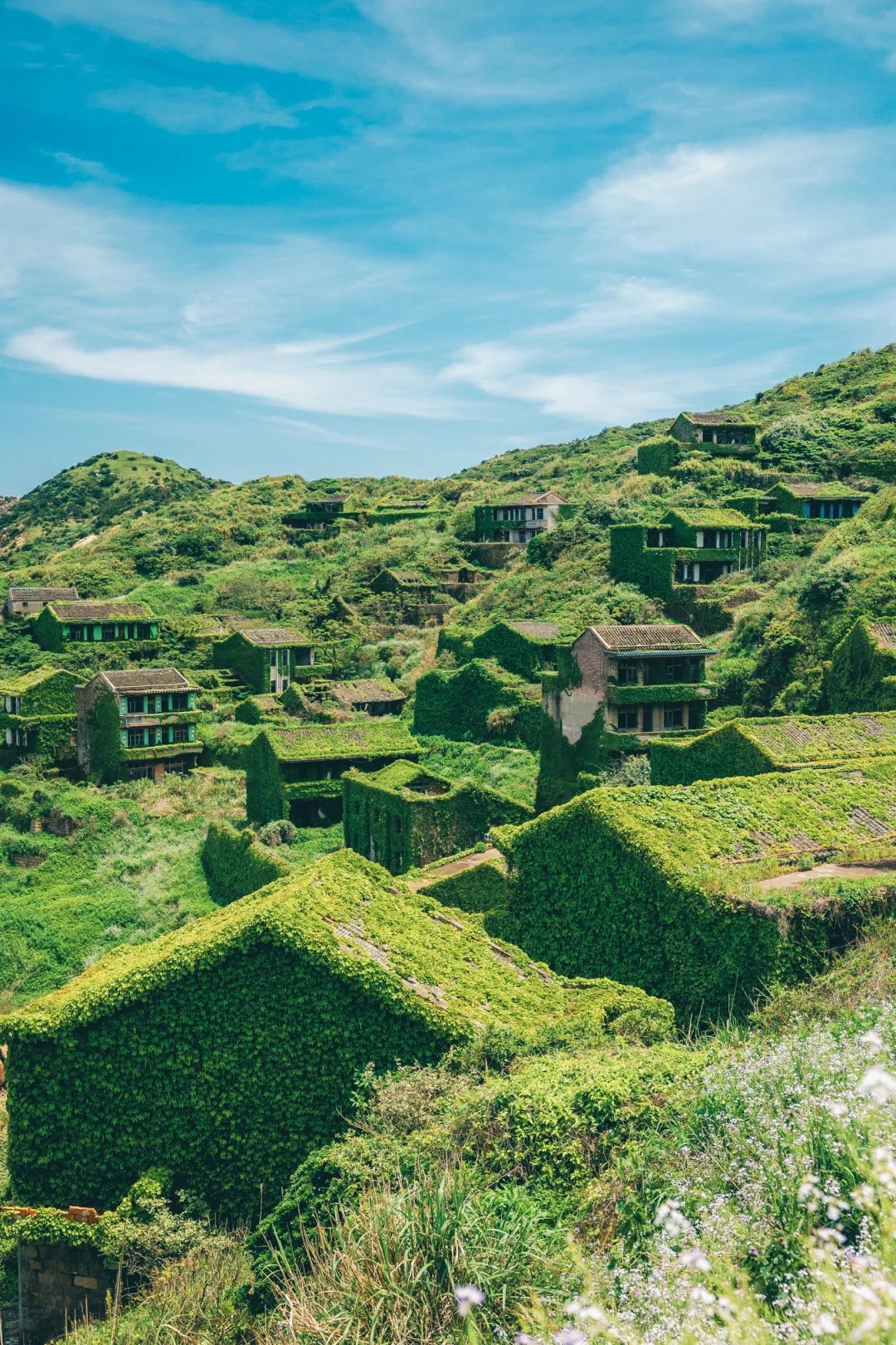 在浙江小岛上，我找到了遗失的“失落村庄”🍃_